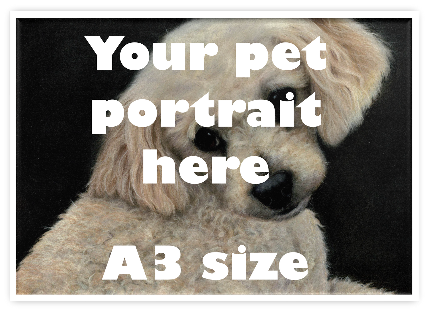 Your Custom Pet Portrait in A3