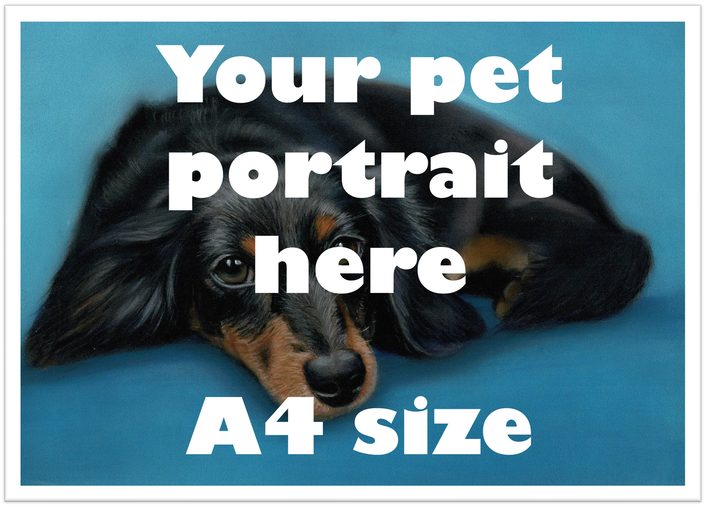 Your Custom Pet Portrait in A4