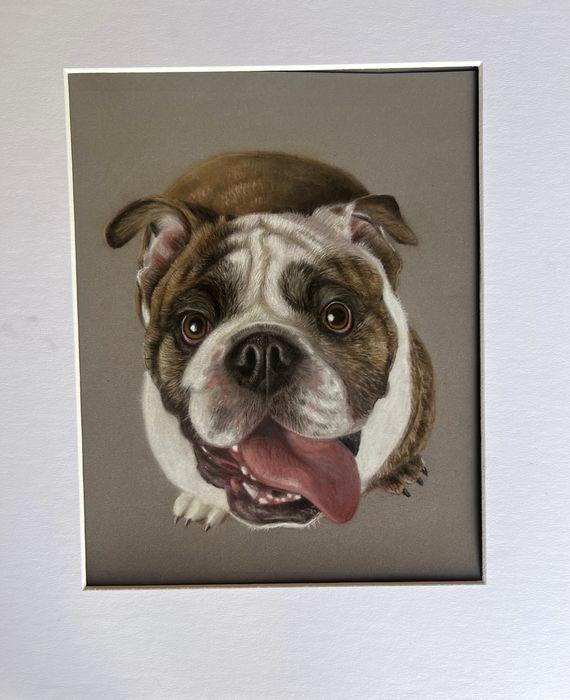 British Bulldog pet portrait mounted in a white mat, ready to frame, by Diane Gardiner