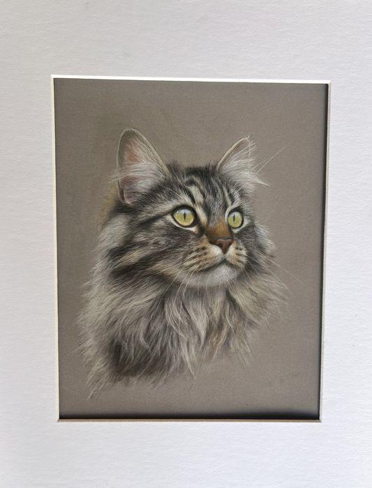 Tabby cat portrait mounted in a white mat and ready to frame, hand-drawn in New Zealand