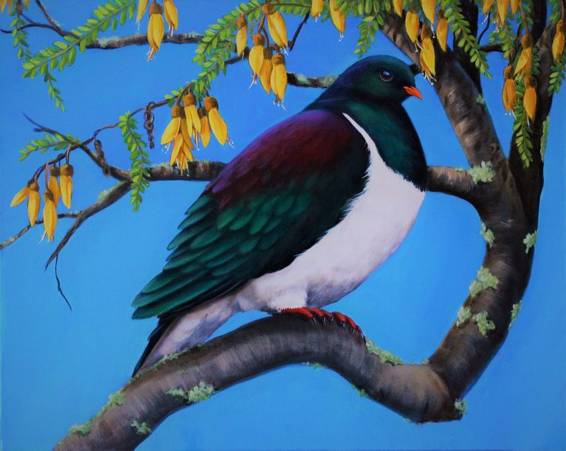 Kererū, painting by Diane Gardiner