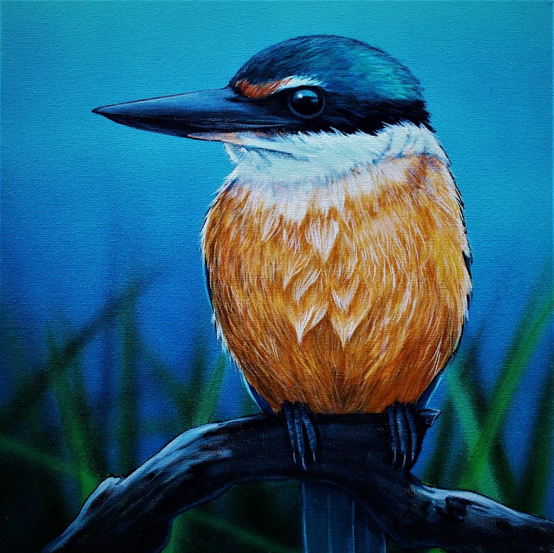 Kōtare, painting by Diane Gardiner