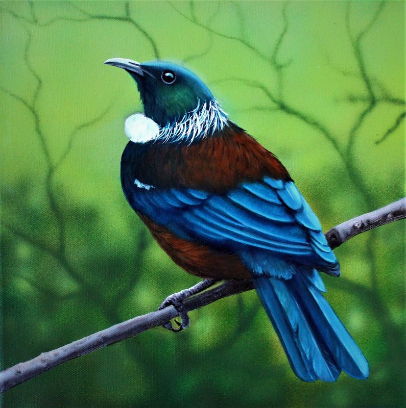 Tūī, painting by Diane Gardiner