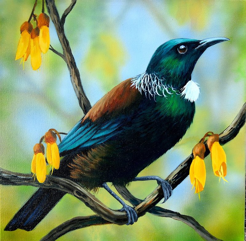 Tūī in the kōwhai, painting by Diane Gardiner
