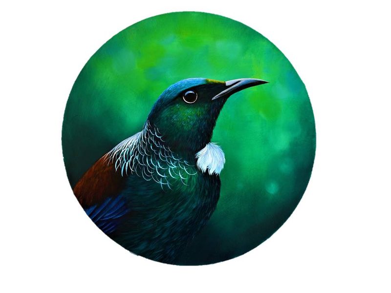 Tūī in the bush, painting by Diane Gardiner