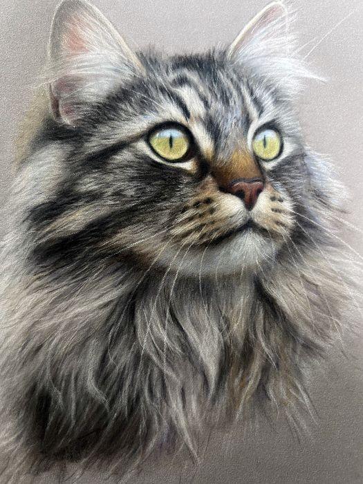 Pastel and coloured pencil pet portrait of a fluffy long-haired tabby cat with yellow-green eyes looking up, hand-drawn by New Zealand artist Diane Gardiner