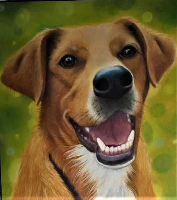Pastel and coloured pencil pet portrait of Samu, a smiling tan and white dog on a green background, hand-drawn by New Zealand artist Diane Gardiner